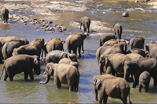 Classic Tour Sri Lanka