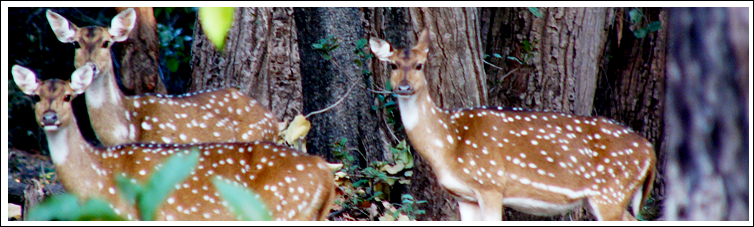 national park